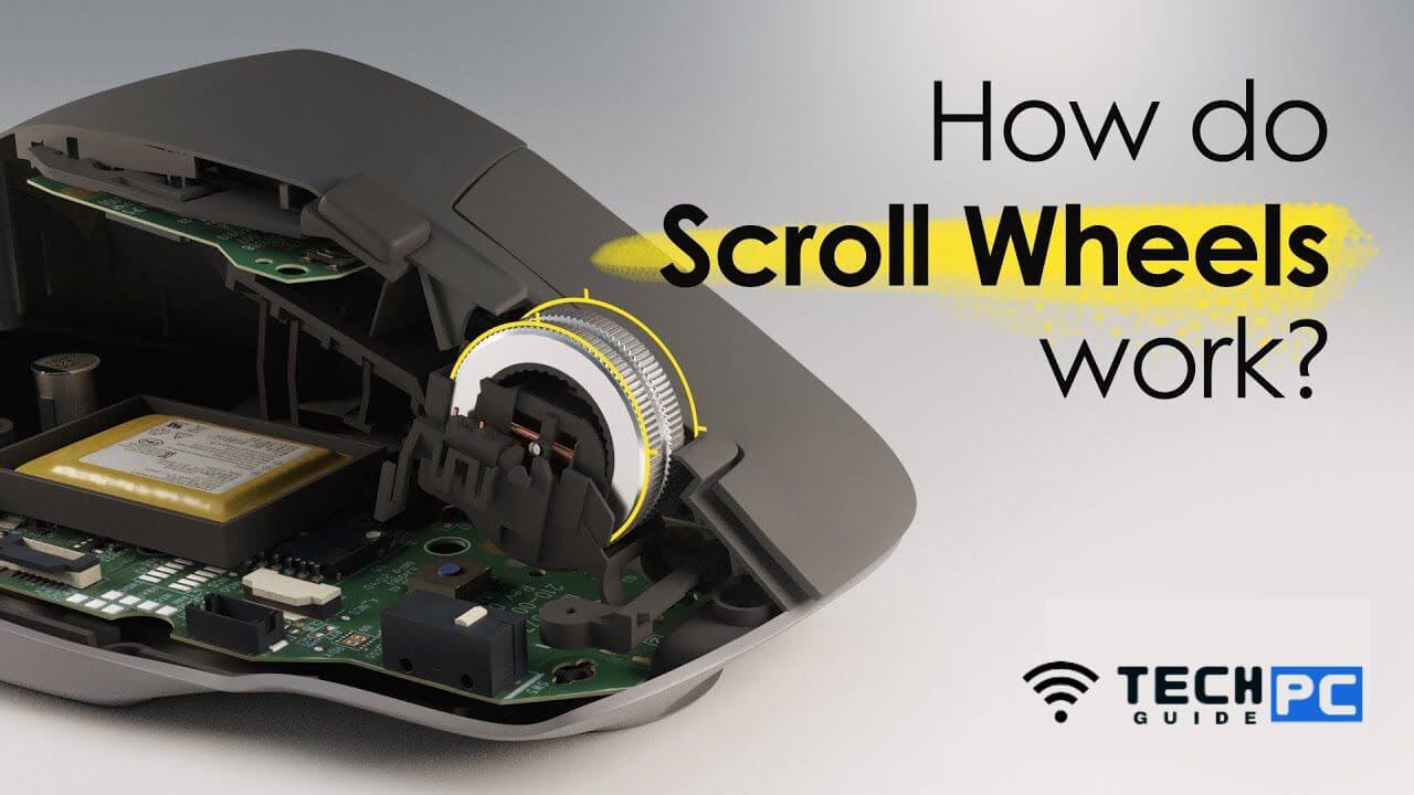 How to Get Scroll Wheel Reset
